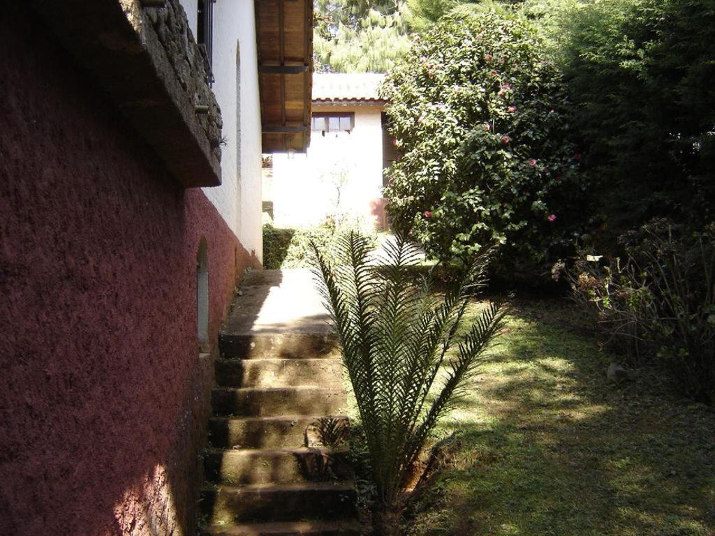 Casa Das Dalias Monte Verde  Ngoại thất bức ảnh